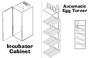 egg incubator incubater turner heater plans homemade DIY kit project